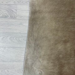 Koeienhuid taupe 245x210cm XXL