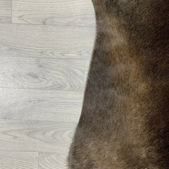 Koeienhuid bruin zwart wit 245x235cm XXL