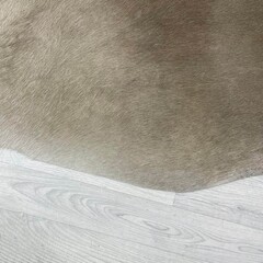 Koeienhuid taupe wit 250x220cm XXL