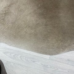 Koeienhuid taupe wit 250x220cm XXL