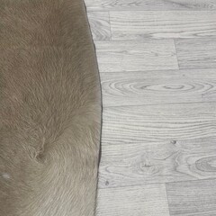 Koeienhuid taupe wit 250x220cm XXL