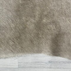 Koeienhuid taupe wit 250x220cm XXL