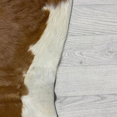 Koeienhuid bruin wit 255x230cm XXL
