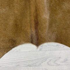 Koeienhuid bruin wit 260x240cm XXL