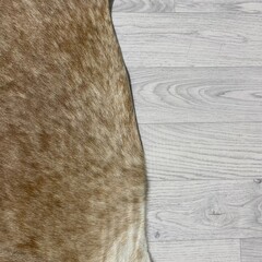 Koeienhuid bruin wit 260x240cm XXL