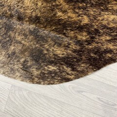 Koeienhuid bruin zwart wit brindle 265x235cm XXL