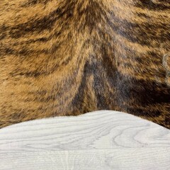 Koeienhuid bruin zwart wit brindle 265x235cm XXL
