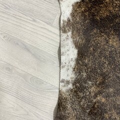 Koeienhuid bruin zwart wit brindle 265x235cm XXL