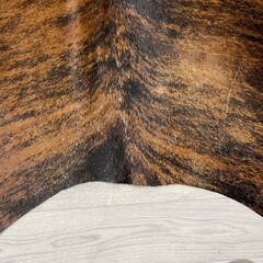 Koeienhuid bruin zwart wit brindle 275x225cm XXL