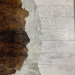 Koeienhuid bruin zwart wit brindle 275x225cm XXL