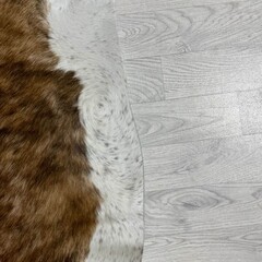 Koeienhuid bruin zwart wit brindle 245x230cm XXL