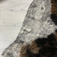 Koeienhuid bruin zwart wit brindle 265x230cm XXL