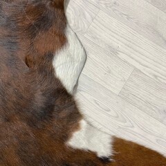 Koeienhuid bruin zwart wit brindle 245x240cm XXL