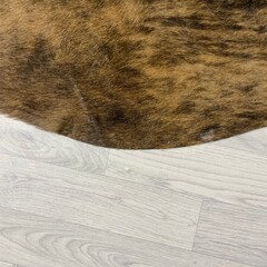 Koeienhuid bruin zwart wit brindle 245x230cm XXL