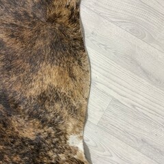 Koeienhuid bruin wit zwart brindle 250x225cm XXL