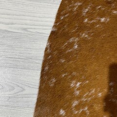 Koeienhuid bruin wit 170x130cm S