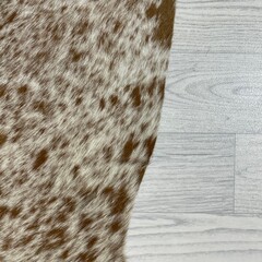 Koeienhuid bruin wit SP 150x155cm XS