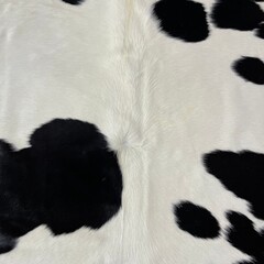 Koeienhuid zwart wit 185x160cm S