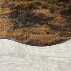 Koeienhuid bruin zwart brindle 175x145cm S