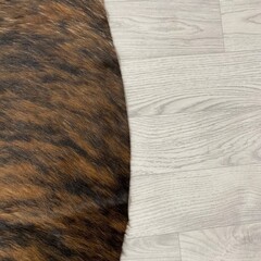 Koeienhuid bruin zwart brindle 175x145cm S