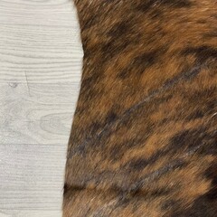 Koeienhuid bruin zwart brindle 175x145cm S