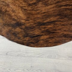 Koeienhuid bruin zwart brindle 170x170xm S