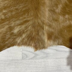 Koeienhuid bruin beige brindle 180x130cm S