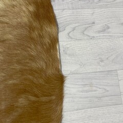 Koeienhuid bruin beige brindle 180x130cm S
