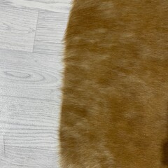Koeienhuid bruin beige brindle 180x130cm S