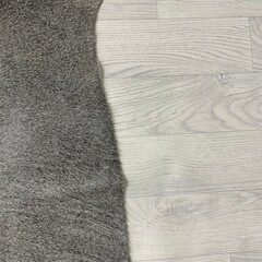Koeienhuid grijs tinten 160x170cm S