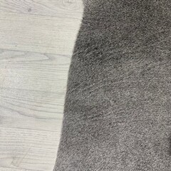 Koeienhuid grijs tinten 160x170cm S