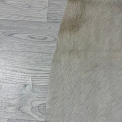 Koeienhuid beige wit 195x160cm S