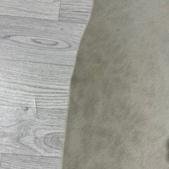 Koeienhuid ivoor 160x140cm S