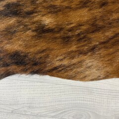 Koeienhuid bruin zwart wit 160x115cm XS