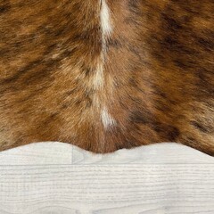 Koeienhuid bruin zwart wit 160x115cm XS