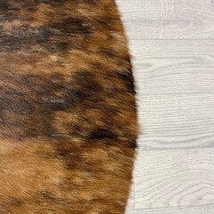 Koeienhuid bruin zwart wit 160x115cm XS