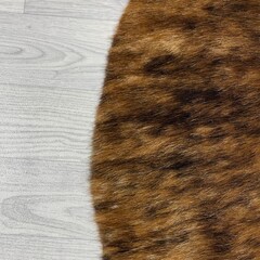 Koeienhuid bruin zwart wit 160x115cm XS