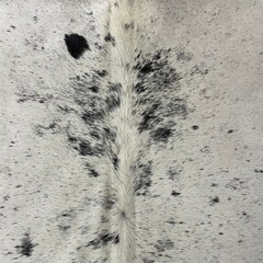 Koeienhuid zwart wit SP 185x160cm S