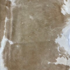 Koeienhuid beige wit 170x170xm S