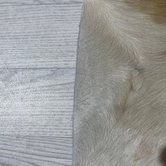 Koeienhuid beige wit 170x170xm S