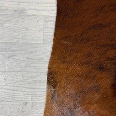 Koeienhuid bruin zwart brindle 160x160cm S