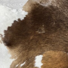 Koeienhuid bruin zwart wit 170x150cm S