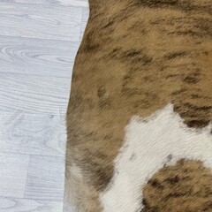 Koeienhuid bruin zwart wit brindle 180x140cm S