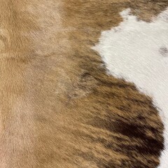 Koeienhuid bruin zwart wit brindle 180x140cm S