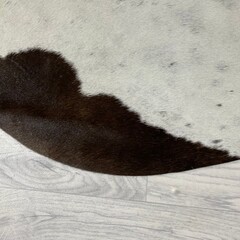 Koeienhuid bruin wit 210x205cm M/L