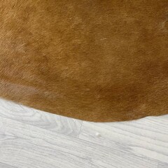 Koeienhuid bruin wit 195x185cm M/L