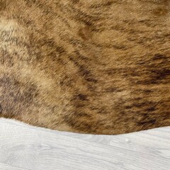 Koeienhuid bruin zwart brindle 220x200cm M/L