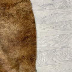 Koeienhuid bruin zwart brindle 220x200cm M/L