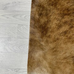 Koeienhuid bruin zwart brindle 220x200cm M/L