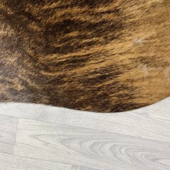 Koeienhuid bruin zwart brindle 210x200cm M/L